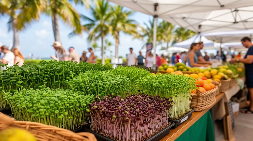 check mgw farmers finder