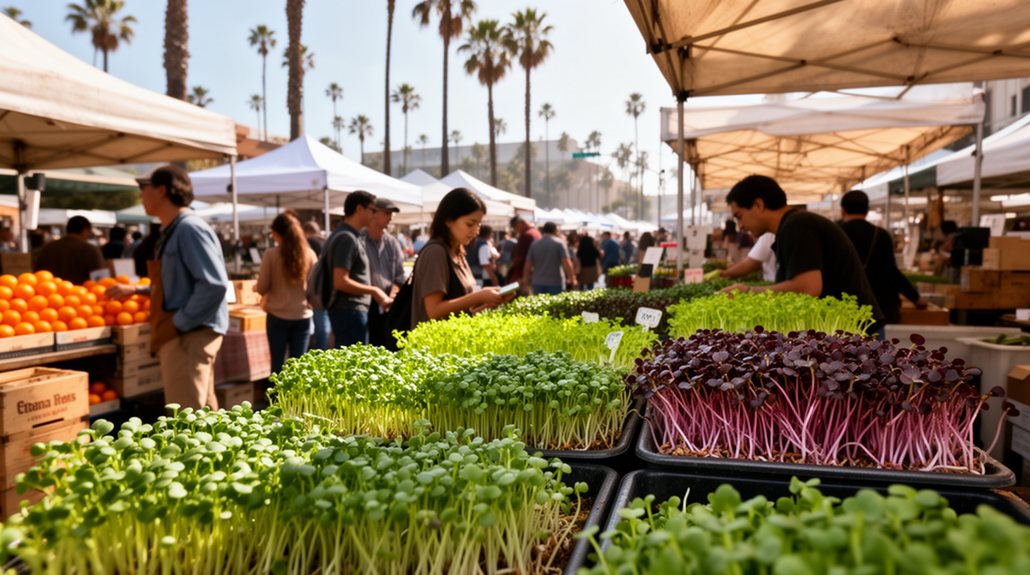 hollywood and santa monica markets